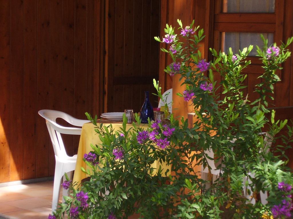 Camping Village Riviera Numana Kültér fotó